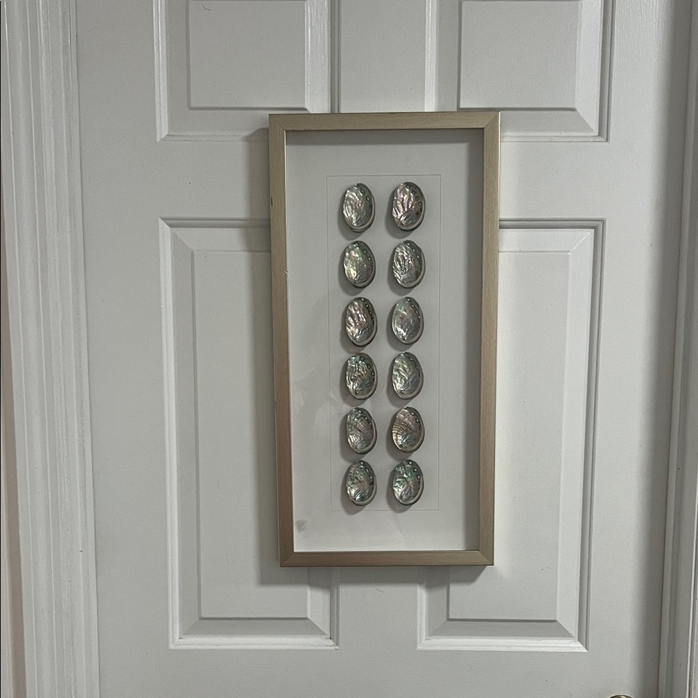 Framed Shell Wall Art in Gold Frame